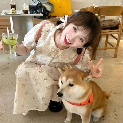 墙内的战争